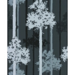 Super Fresco Easy Nottingham Black/Silver