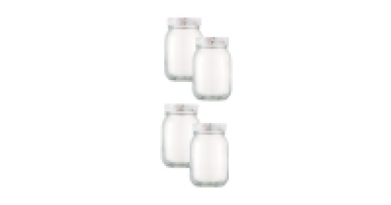 Preserving Jars 4 - Pack
