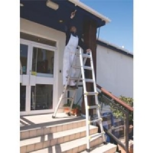 Professional Multi-function Ladder
