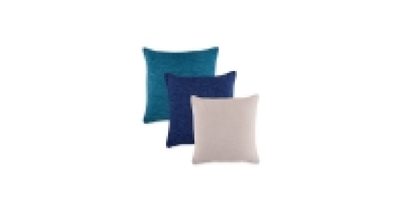 Large Cushion £5.99