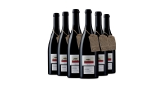 Lot 19 Old Vines Pinotage