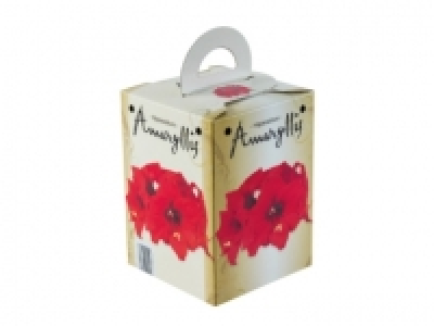 Grow Your Own Amaryllis £2.59
