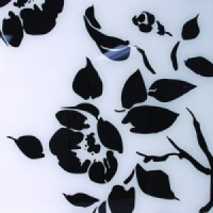 Glass Splashback Black Roses 600x750mm