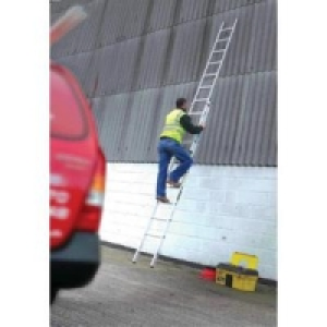 Professional 2 Section Extension Ladder
