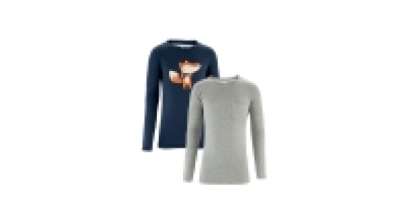 Boys Fox Print Long Sleeve T-Shirt