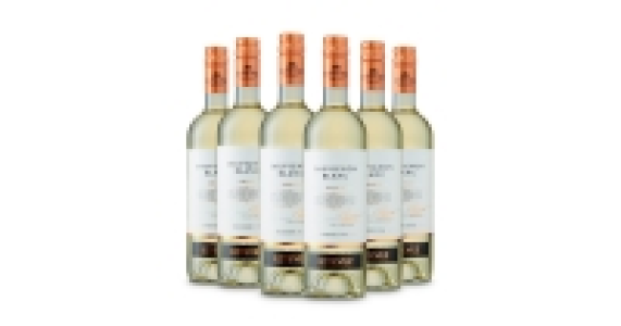 Estevez Chilean Sauvignon Blanc