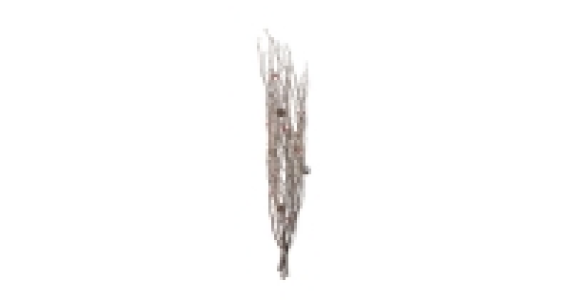 Festive Birch Natural Snow/Berry Red