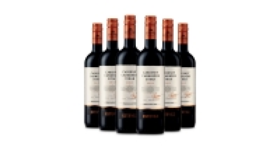 Estevez Chilean Cabernet Carmenere
