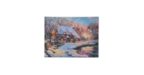 House LED Canvas