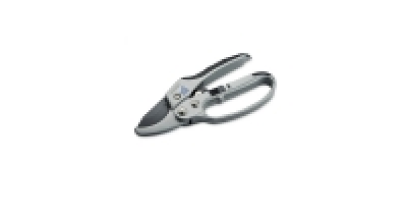 Ratchet Pruner