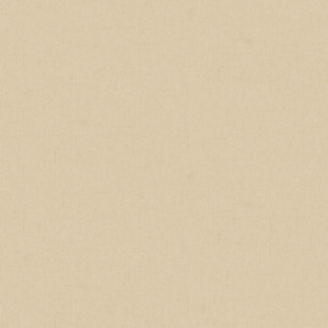 Wilko  Arthouse Paparazzi Simply Chic Textured Wallpaper Beige 5627