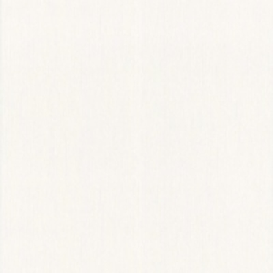 Paintable Blown Wallpaper String 10.05m