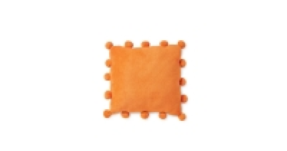 Pom Pom Cushion