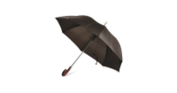 Business Umbrella £8.99