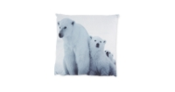 Polar Bears Photoprint Cushion