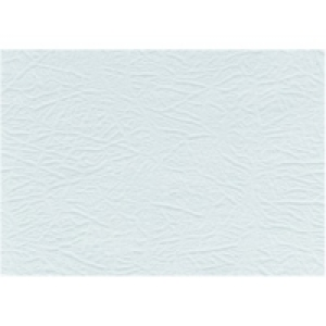 Wallpaper Embossed White 9006 10m