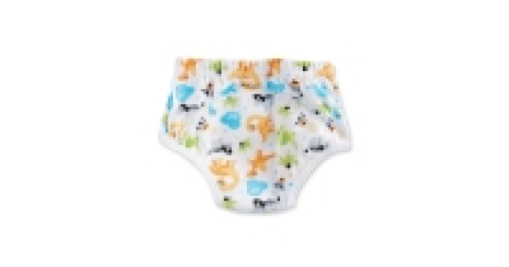 Dino Reusable Training Pants