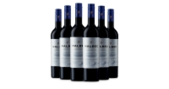 Exquisite Argentinian Malbec