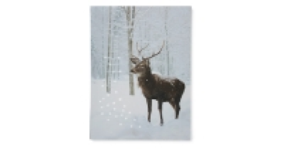 Stag LED Canvas