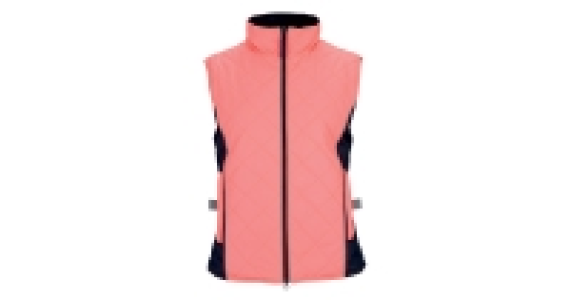Ladies Bright Reversible Gilet