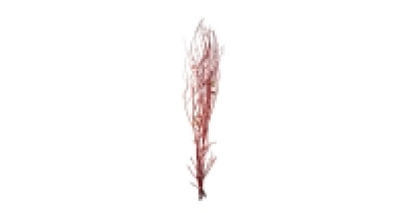 Festive Birch Red Glitter and Bauble