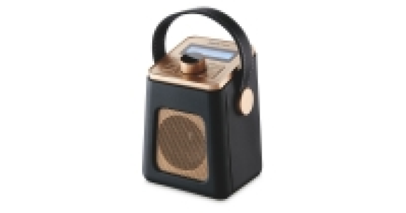 Mini DAB Radio £29.99
