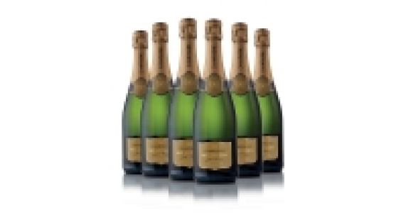 Vintage Blanc de Blanc Champagne