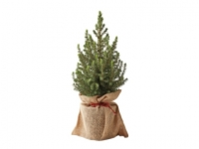 Christmas Tree £6.99