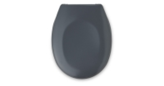 Toilet Seat £6.99