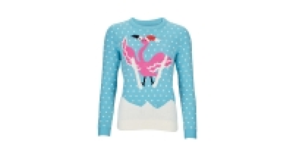 Ladies Skiing Flamingo Jumper &pound;7.99