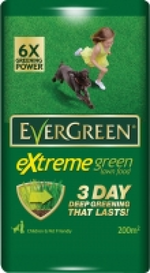 Evergreen Extreme Green Bag £2.99
