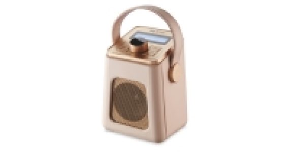 Mini DAB Radio £29.99