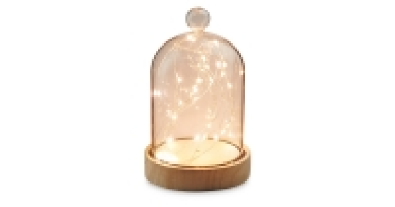 Plain Light Up Globe