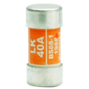 Consumer Unit Replacement Fuse 40 Amp