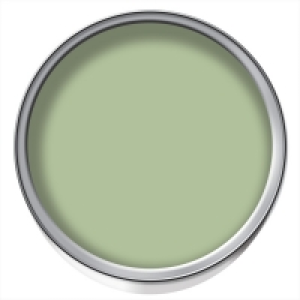 Dulux Silk Emulsion Paint Putting Green 2.5L £14.00