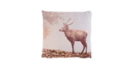 Stag Photoprint Cushion £3.99