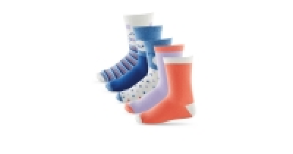 Childrens Animals Socks 5 - Pack