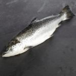 Morrisons Whole Salmon £20.13