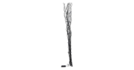 Twig Lights £9.99