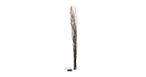 Twig Lights £9.99