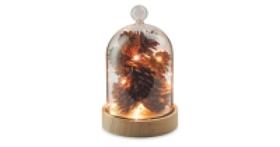 Pine Cone Light Up Globe