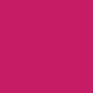 Wickes Quick Dry Gloss Paint Raspberry Kiss 750ml