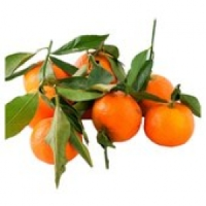 Natoora Leafy Clementines £2.99
