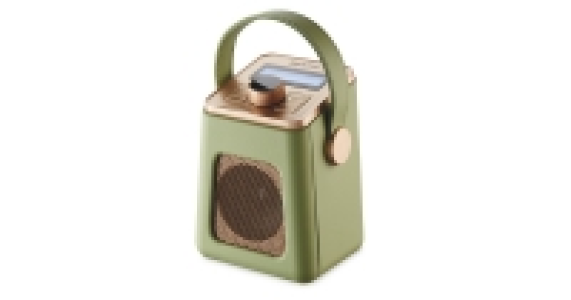 Mini DAB Radio £29.99