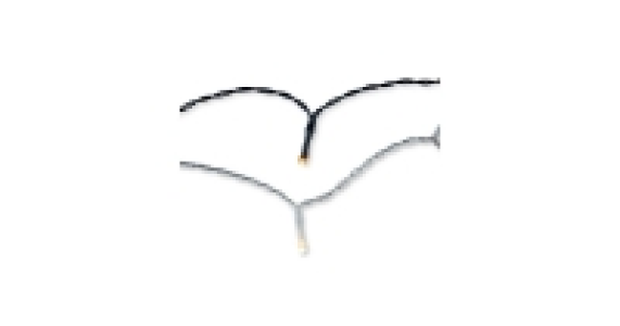 Amber Outdoor Light Chain £3.99