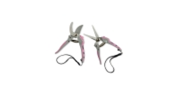 Garden Pruning Set 2-Pack