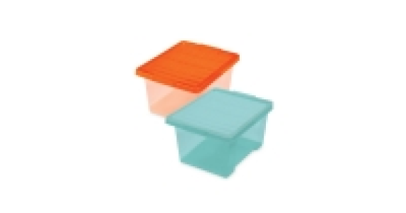 20L Tinted Storage Box 2-Pack