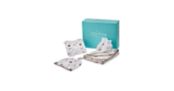 Animals Baby Gift Box