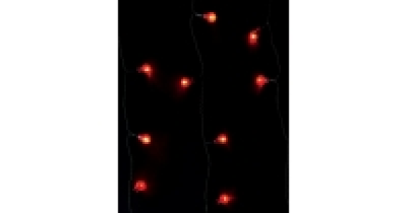 Berry Lights