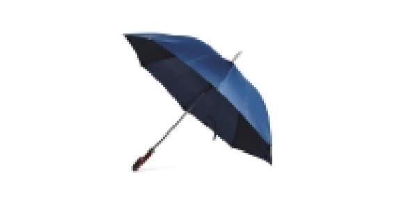 Business Umbrella